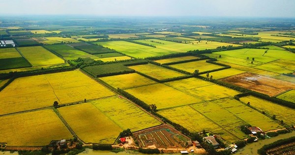 Bắc Giang: Năm 2023, thực hiện chuyển đổi hơn 1.621 ha cơ cấu cây trồng trên đất trồng lúa